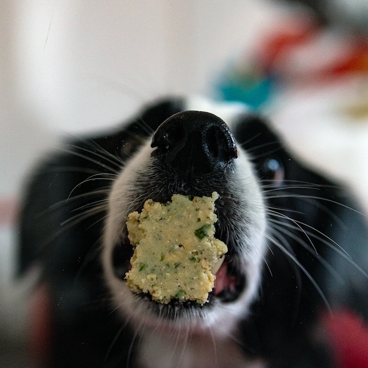 Product photography using plexiglass with food to capture an interesting action shot