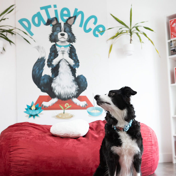 Product photography of Seva in the Virchew store looking at her character